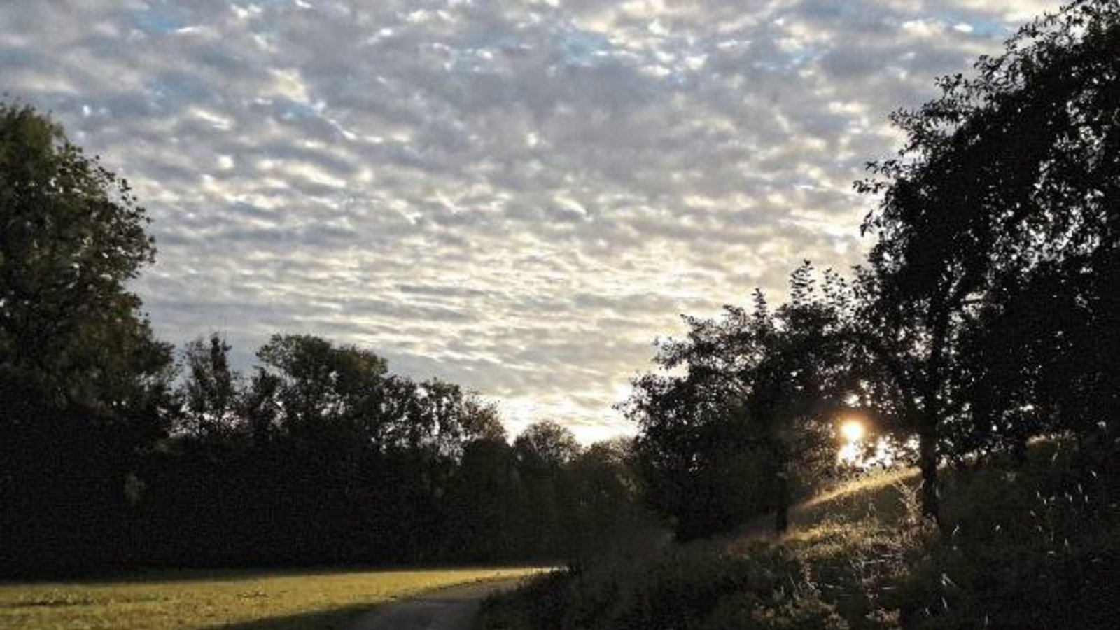 Die Herbstsonne schiebt sich in Aurich ins Kreuzbachtal.  Foto: Rücker