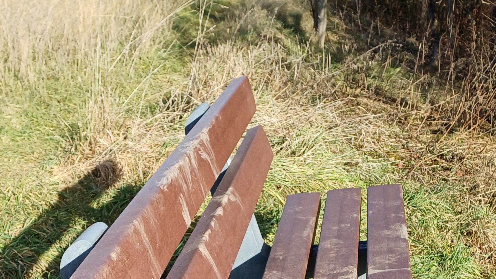 Dieses Bänkle lädt, dreckig wie es ist, leider nicht zum Platz nehmen ein.  Foto: Rücker