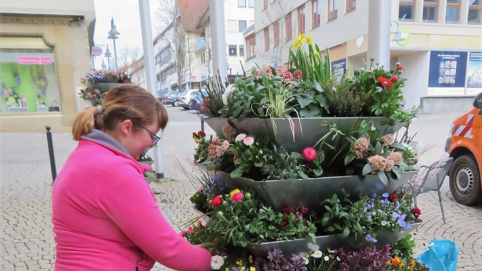 Es wird Frühling auf dem Vaihinger Marktplatz. Die Mitarbeiterin der Vaihinger Stadtgärtnerei kann sich entfalten. Fast 400 Pflanzen darf sie dekorieren. Foto: Arning Es wird Frühling auf dem Vaihinger Marktplatz. Die Mitarbeiterin der Vaihinger Stadtgärtnerei kann sich entfalten. Fast 400 Pflanzen darf sie dekorieren. Foto: Arning