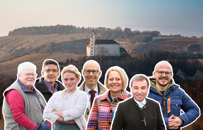 Wer von ihnen sitzt zukünftig im Landtag von Baden-Württemberg? Fotos: Archiv/Herth