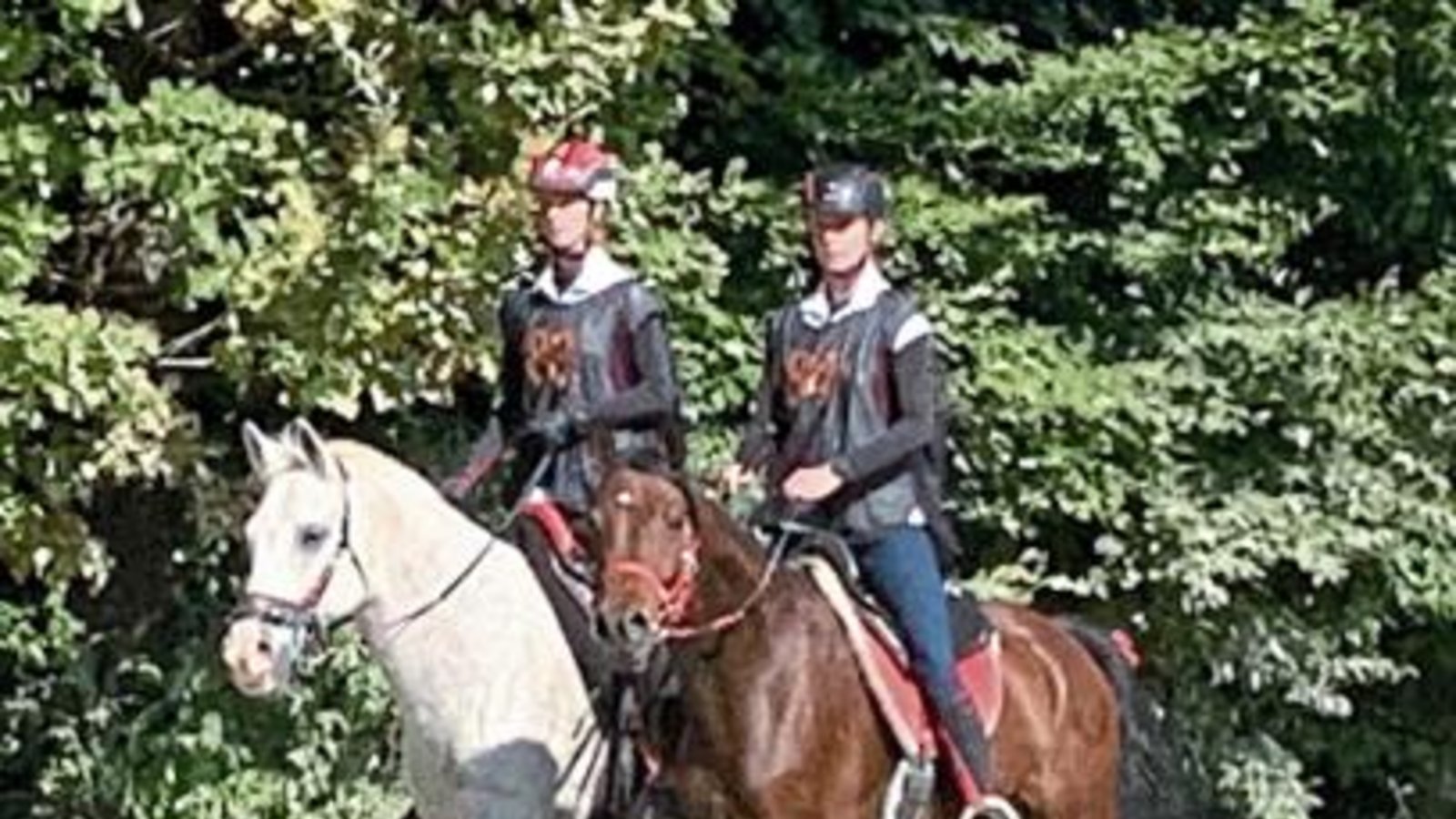 Barysch mit Sina Röhm im Sattel (von links) wurde auf seinem zweiten Distanzritt von Finnja Röhm auf Whiskey begleitet. Foto: privat Barysch mit Sina Röhm im Sattel (von links) wurde auf seinem zweiten Distanzritt von Finnja Röhm auf Whiskey begleitet. Foto: privat