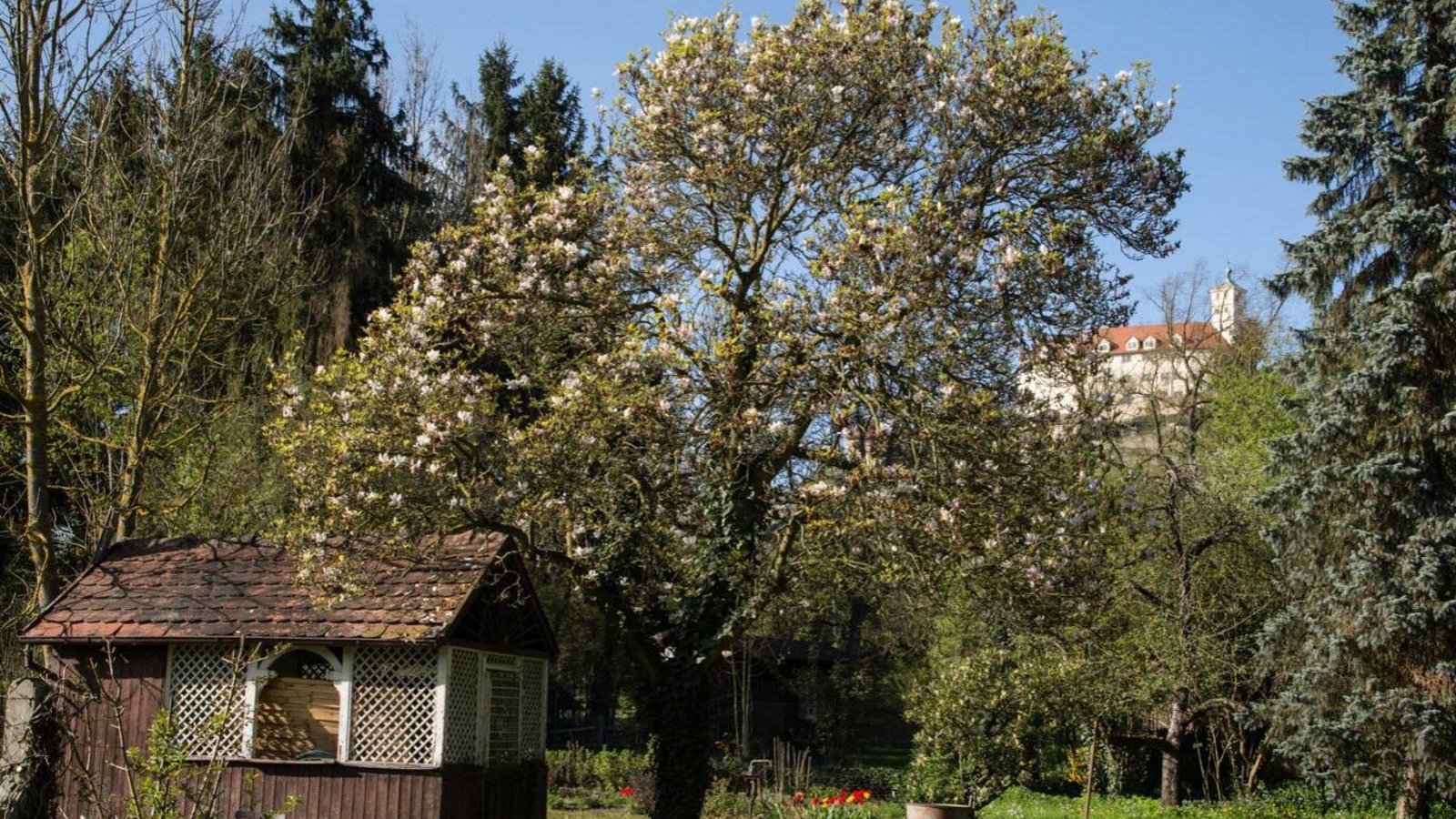 Vaihingens Bürgergärten mit Blick auf Schloss Kaltenstein. Foto: p Vaihingens Bürgergärten mit Blick auf Schloss Kaltenstein. Foto: p