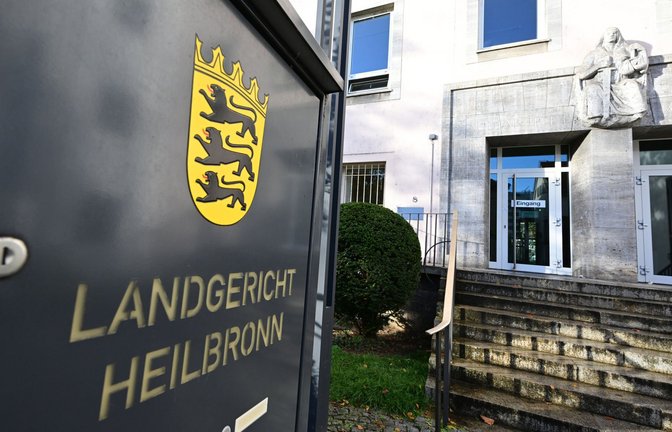 Der Fall wurde am Landgericht Heilbronn verhandelt. (Archivbild)<span class='image-autor'>Foto: dpa/Bernd Weißbrod</span>