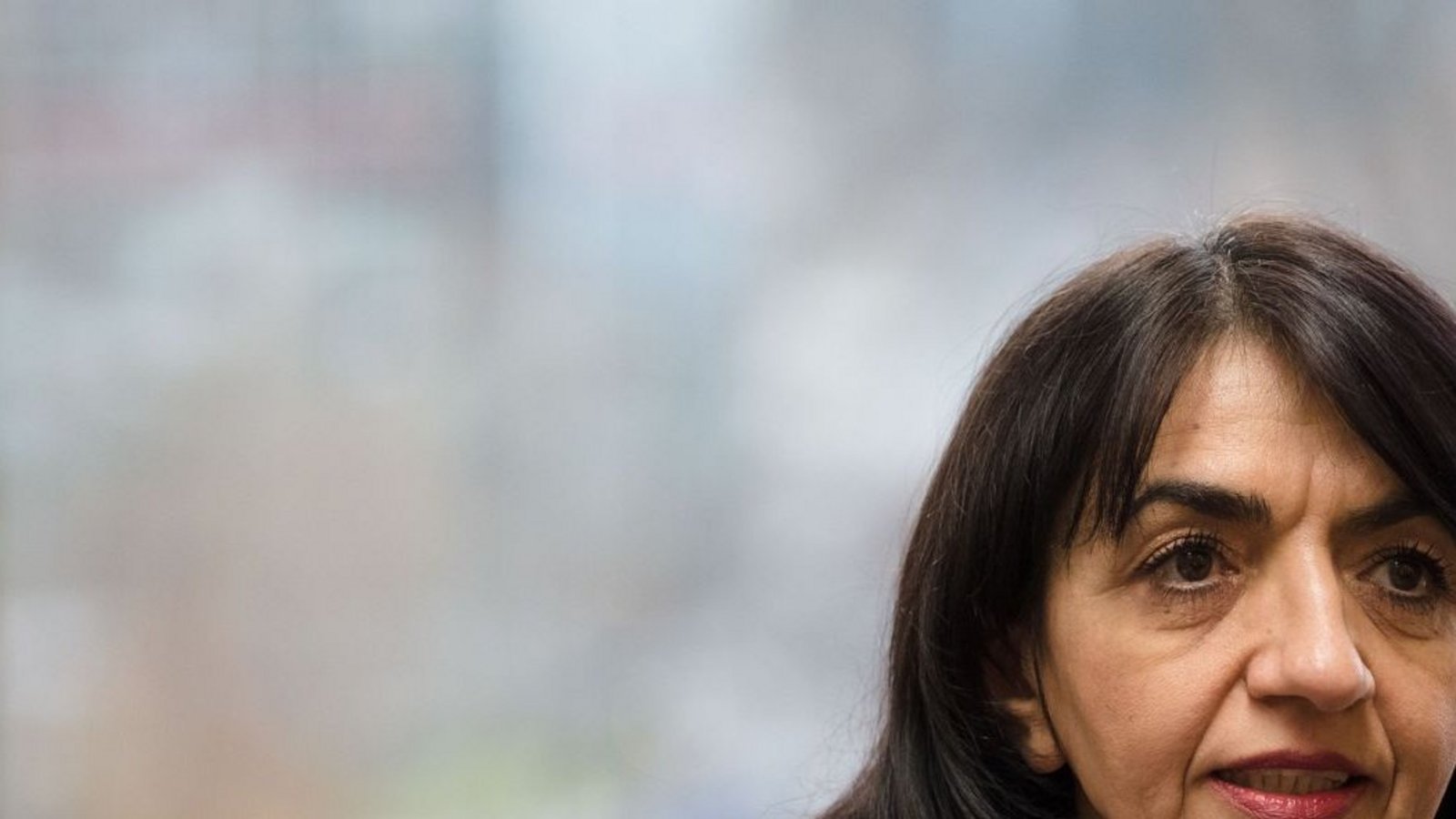 Muhterem Aras beschäftigen die Gleichberechtigung und die Grundwerte der Gesellschaft.Foto: Lichtgut/Leif Piechowsk/i