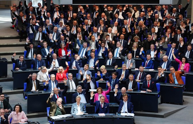 Die AfD sitzt inzwischen als zweitgrößte Fraktion im Bundestag.<span class='image-autor'>Foto: dpa/Kay Nietfeld</span>