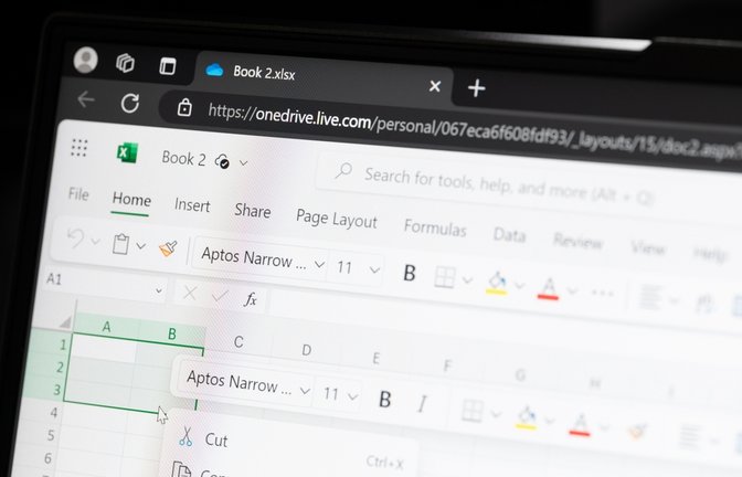 Hier zeigen wir Ihnen, wie Sie in Excel Zeichen auf der linken Seite einer Zeichenkette abschneiden können. 3 Möglichkeiten + Variationen.<span class='image-autor'>Foto: PixieMe / Shutterstock.com</span>