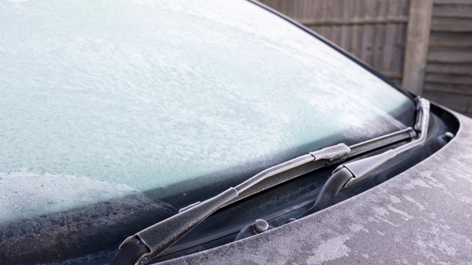 Hier verraten wir Ihnen 5 wirksame Möglichkeiten, wie Sie Ihre Autoscheibe vor Frost schützen können.Foto: Raymond Orton / Shutterstock.com Hier verraten wir Ihnen 5 wirksame Möglichkeiten, wie Sie Ihre Autoscheibe vor Frost schützen können.Foto: Raymond Orton / Shutterstock.com