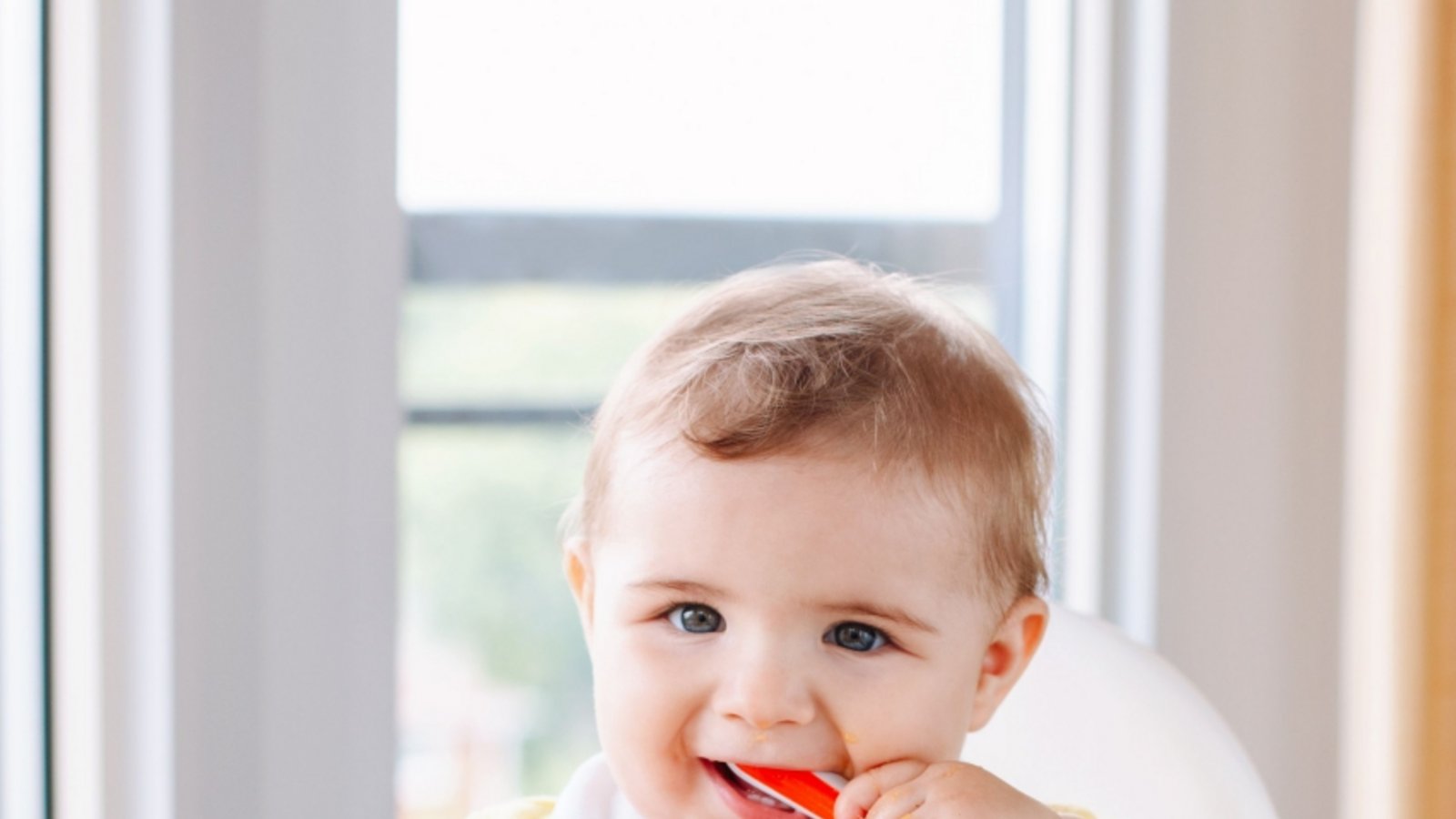 Gesunde Ernährung im ersten Lebensjahr ist das Thema. Foto: Adobe Stock/LE Gesunde Ernährung im ersten Lebensjahr ist das Thema. Foto: Adobe Stock/LE