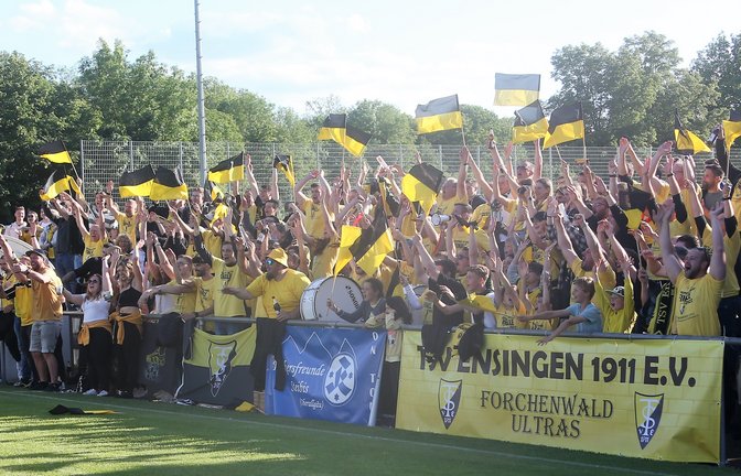 Für die Ensinger Fans ist das Pokalfinale ein Fest, auch wenn den Pokal schließlich der FSV 08 Bietigheim-Bissingen II bejubelt. <span class='image-autor'>Fotos: Küppers</span>