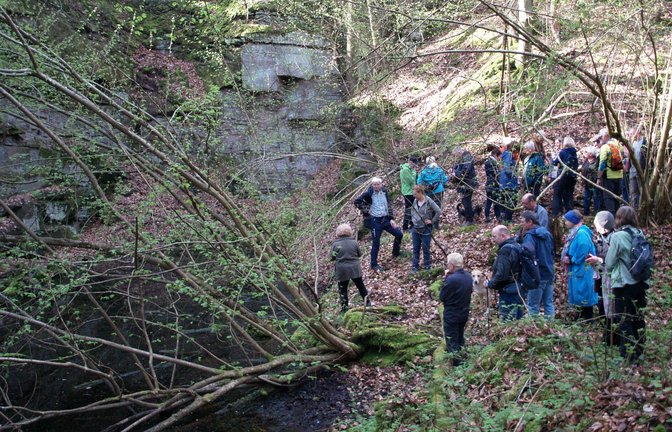 Naturidylle: Die Gruppe wird zu einem kleinen Tümpel vor einer mächtigen Steinbruchwand geführt.  <span class='image-autor'>Fotos: Filitz</span>