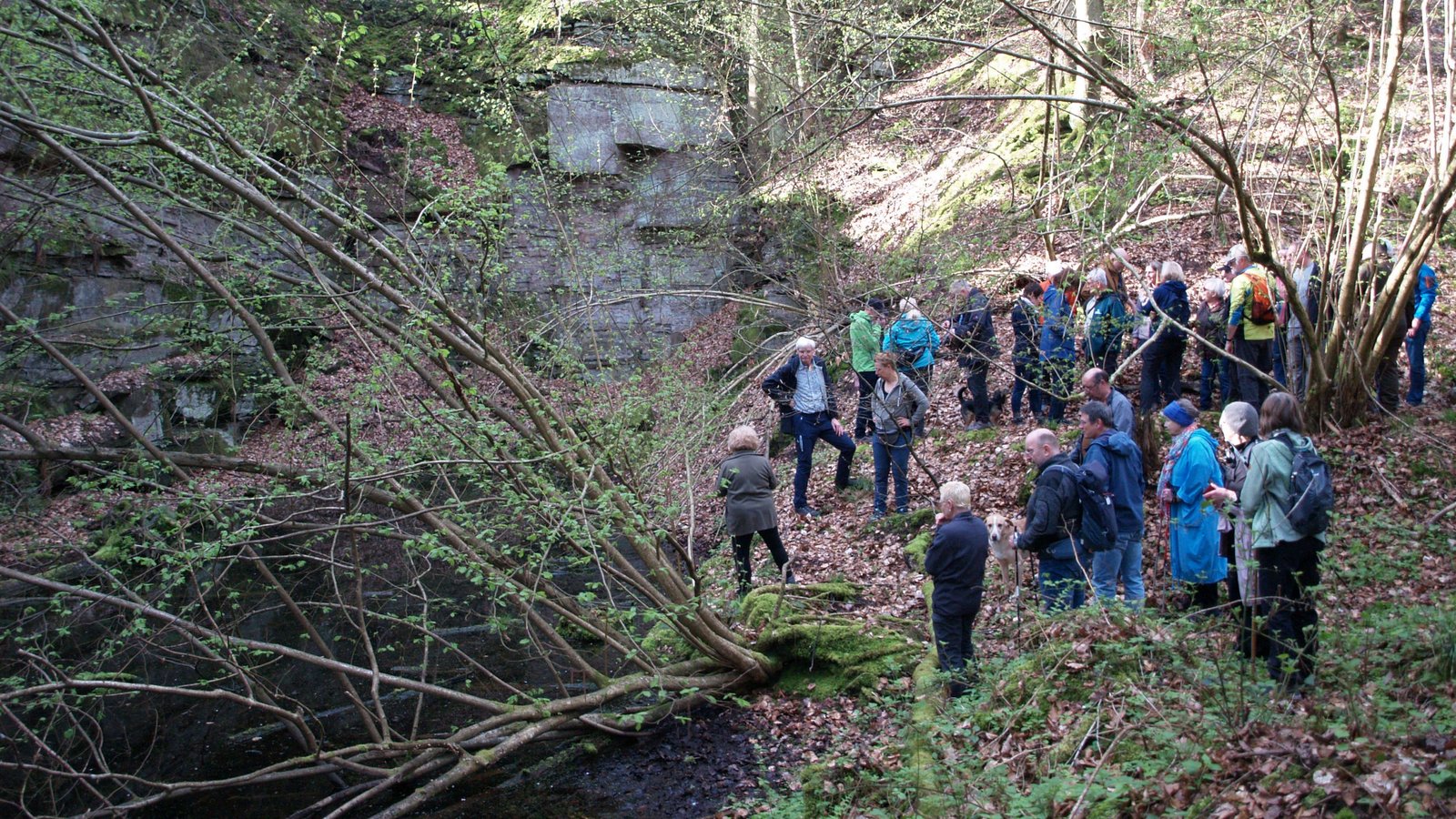 Naturidylle: Die Gruppe wird zu einem kleinen Tümpel vor einer mächtigen Steinbruchwand geführt. Fotos: Filitz Naturidylle: Die Gruppe wird zu einem kleinen Tümpel vor einer mächtigen Steinbruchwand geführt. Fotos: Filitz