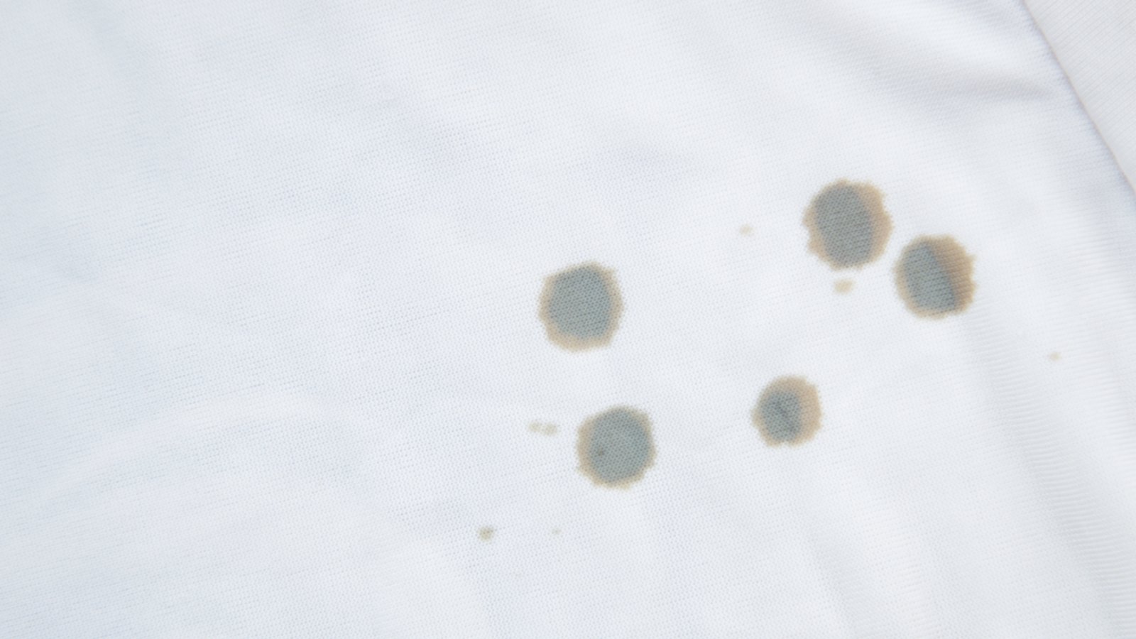 Je schneller Sie handeln, desto besser das Resultat.Foto: Fecundap stock / shutterstock.com Je schneller Sie handeln, desto besser das Resultat.Foto: Fecundap stock / shutterstock.com