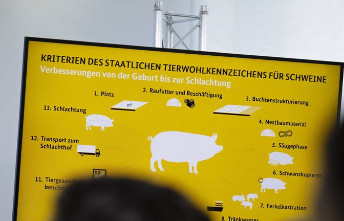 Niedrigere Steuern auf Lebensmittel und ein neues europäisches Tierwohlkennzeichen: Das sind zwei der Empfehlungen aus einem Expertenbericht zu Europas Agrarpolitik. (Archivbild)<span class='image-autor'>Foto: imago/photothek/Thomas Trutschel/photothek.net</span>