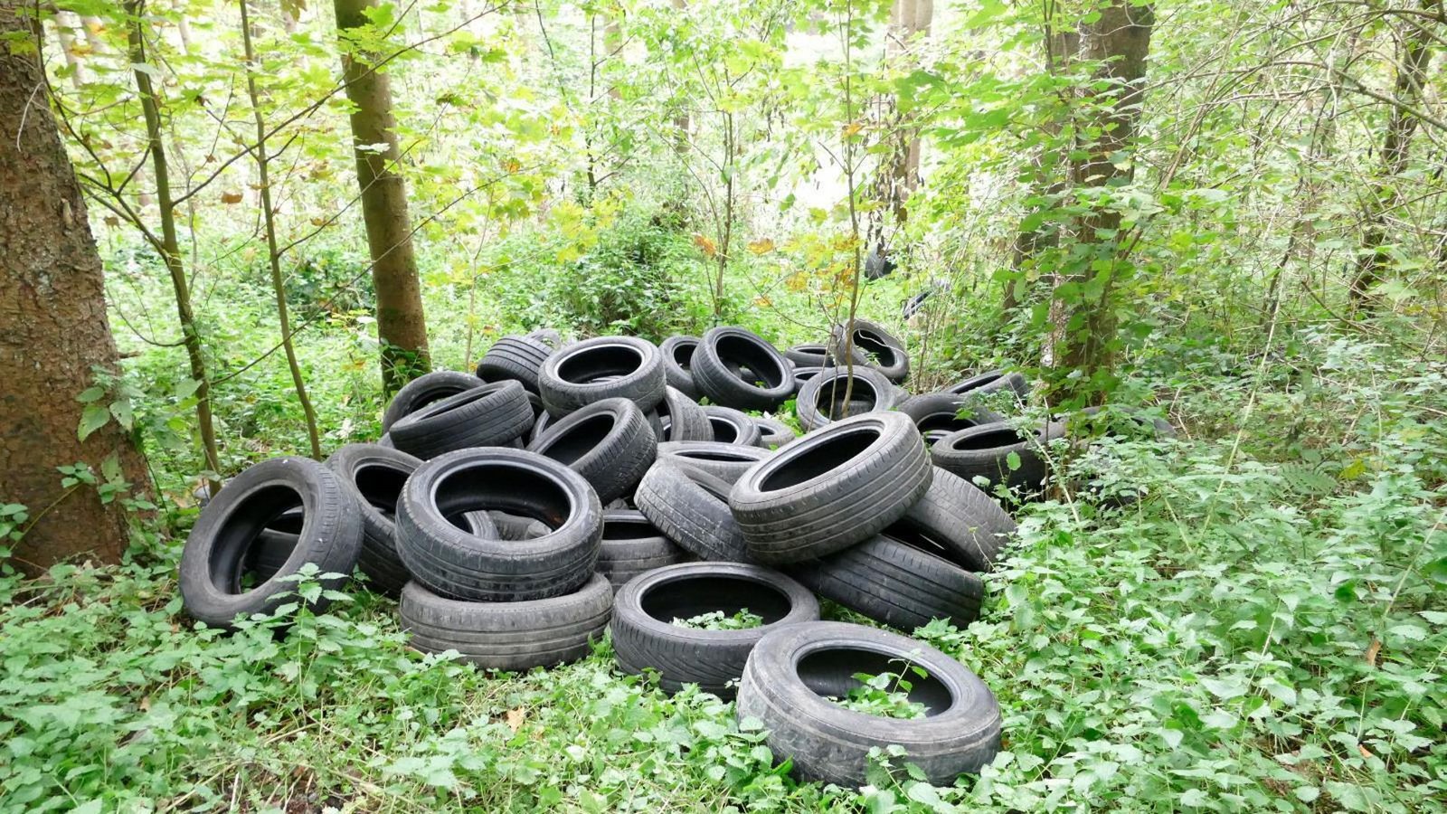 Diese Altreifen entsorgten Unbekannte an einem Waldstück in Ulm.Foto: Polizeipräsidium Ulm Diese Altreifen entsorgten Unbekannte an einem Waldstück in Ulm.Foto: Polizeipräsidium Ulm