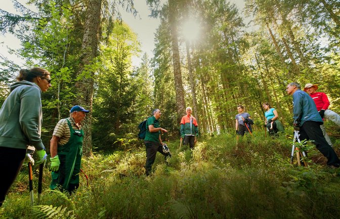 Eine Freiwilligengruppe beim Einsatz im Schwarzwald nahe Schonach<span class='image-autor'>Foto: Hochschwarzwald Tourismus / Birgit-Cathrin Duval</span>