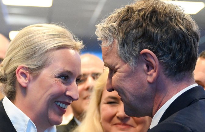 Von den einstigen Flügelkämpfen in der AfD ist heute nicht mehr viel zu spüren. Etliche frühere Führungspersönlichkeiten haben die Partei seither verlassen. (Archivfoto)<span class='image-autor'>Foto: Sören Stache/dpa-Pool/dpa</span>
