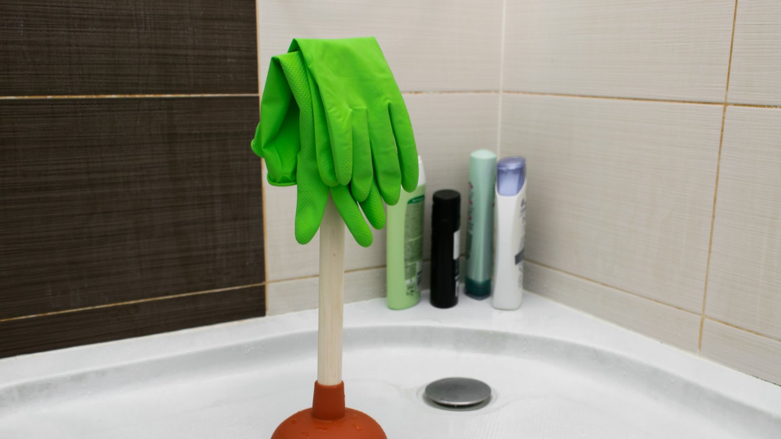 Foto: metodej / shutterstock.com