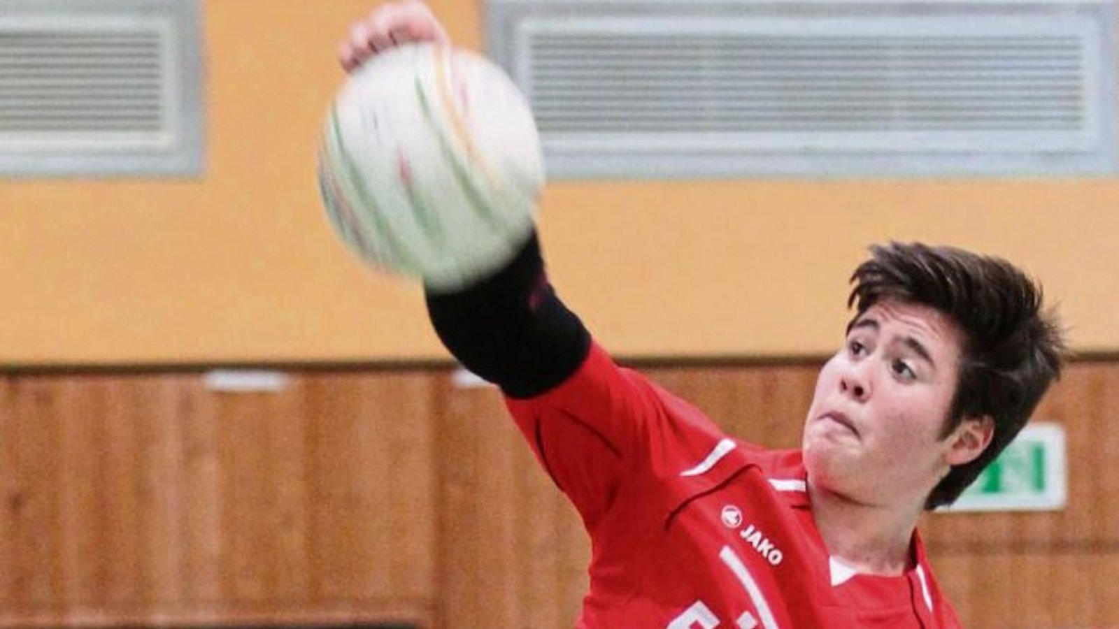 Michael Knodel und die U-16-Faustballer des TV Vaihingen waren die beste Mannschaft der deutschen Meisterschaft in Wickrath. Foto: Archiv/Nachreiner Michael Knodel und die U-16-Faustballer des TV Vaihingen waren die beste Mannschaft der deutschen Meisterschaft in Wickrath. Foto: Archiv/Nachreiner