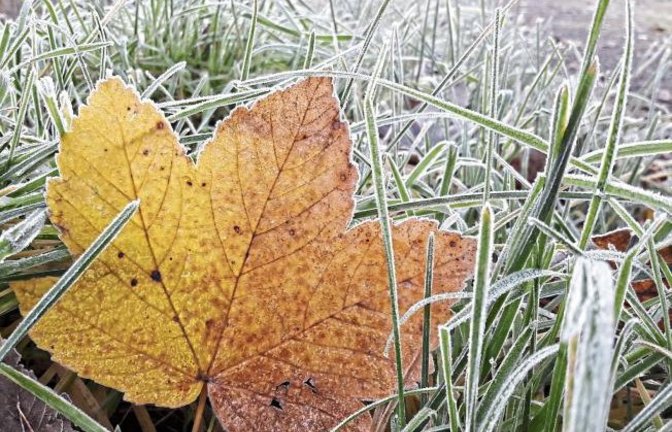 Schockgefrostete Herbstfarben grüßen am Morgen.  Foto: Rücker
