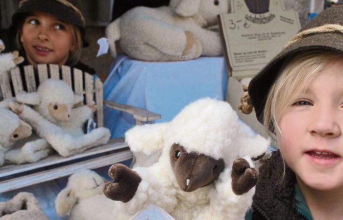 Rund ums Schaf: Mette Marit und Madita Mauch halfen dem Vater beim Verkauf in Schützingen. Fotos: Stahlfeld