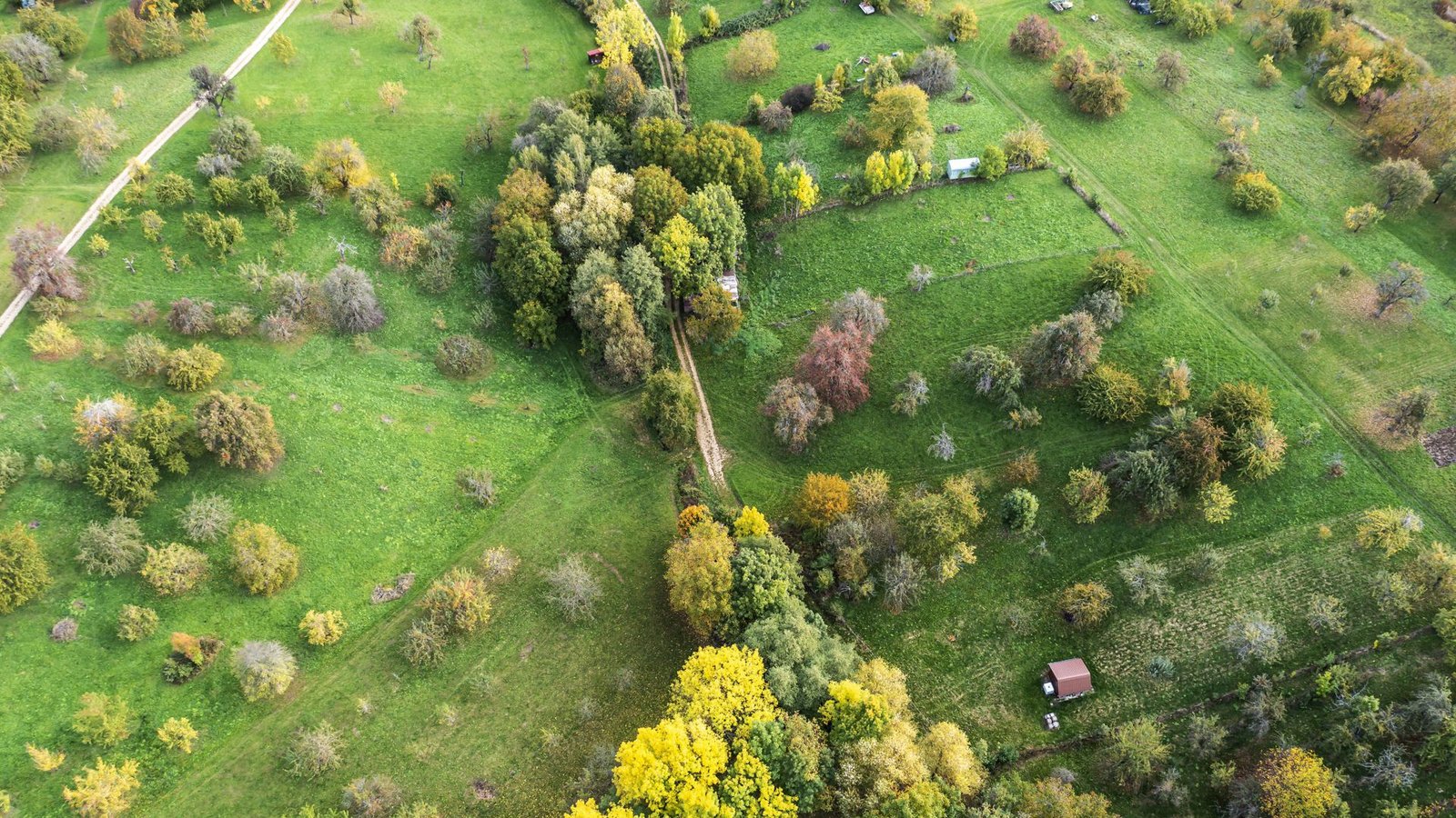 Die Streuobstwiesen gehören seit Jahrhunderten zur Landschaft Baden-Württembergs dazu.Foto: Imago/Arnulf Hettrich Die Streuobstwiesen gehören seit Jahrhunderten zur Landschaft Baden-Württembergs dazu.Foto: Imago/Arnulf Hettrich