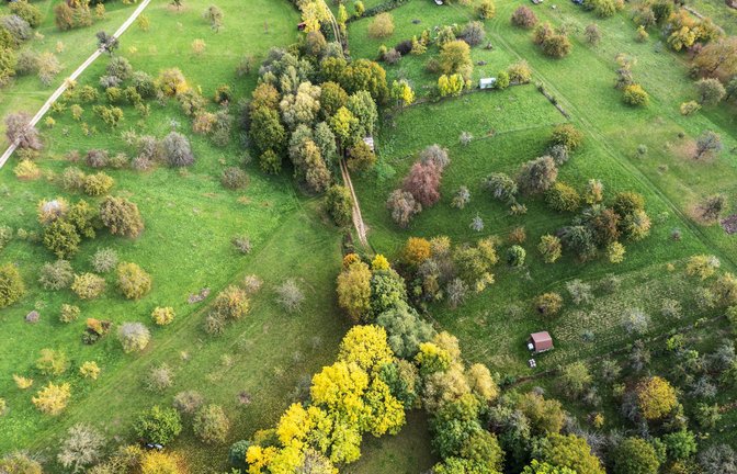 Die Streuobstwiesen gehören seit Jahrhunderten zur Landschaft Baden-Württembergs dazu.<span class='image-autor'>Foto: Imago/Arnulf Hettrich</span>