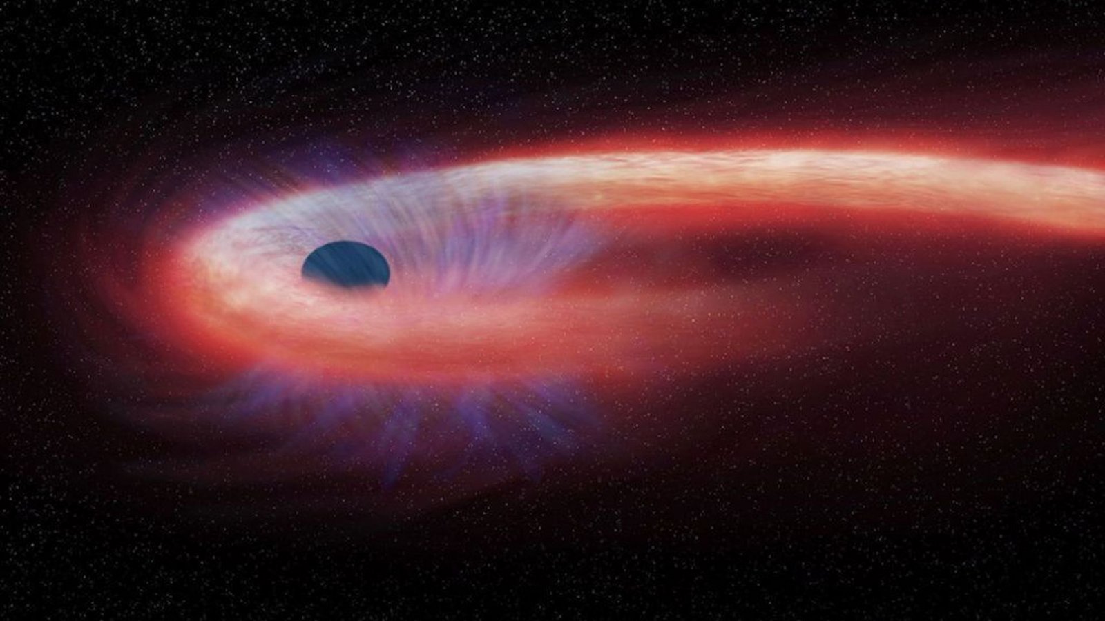Diese von der US-Raumfahrtbehörde Nasa bereitgestellte grafische Darstellung zeigt einen Stern, der von einem schwarzen Loch geschluckt wird und dabei einen roten Schweif aus Röntgenstrahlen hinter sich lässt.Foto: Nasa/Chandra X-ray Observatory/AP/dpa