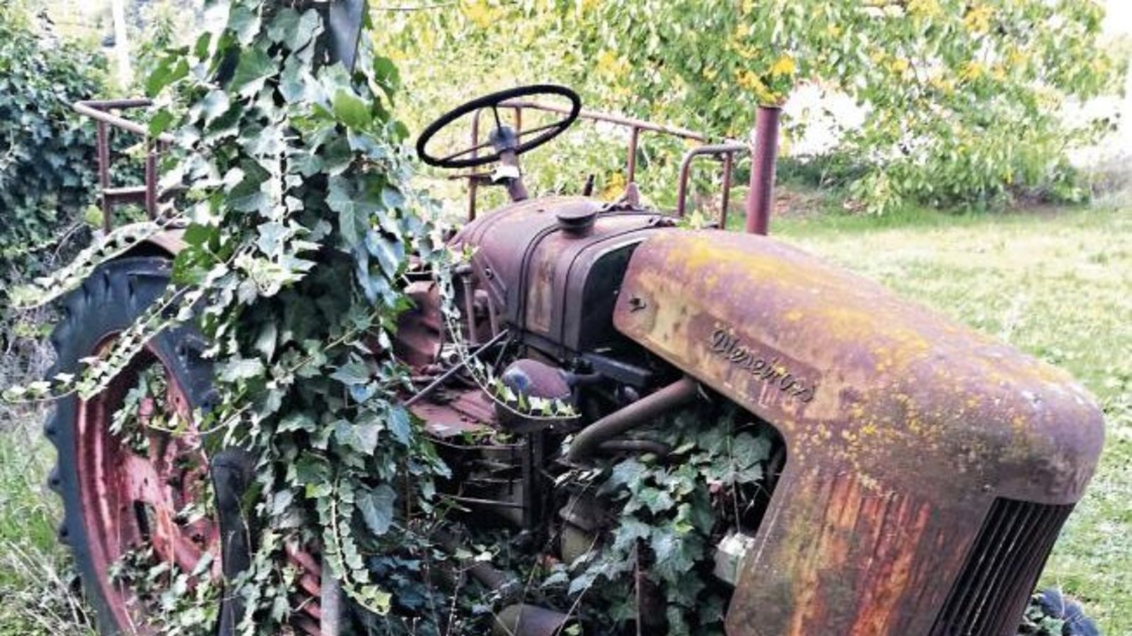 Ein echter Dauerparker, gesehen in Unterriexingen.  Foto: Romanowski