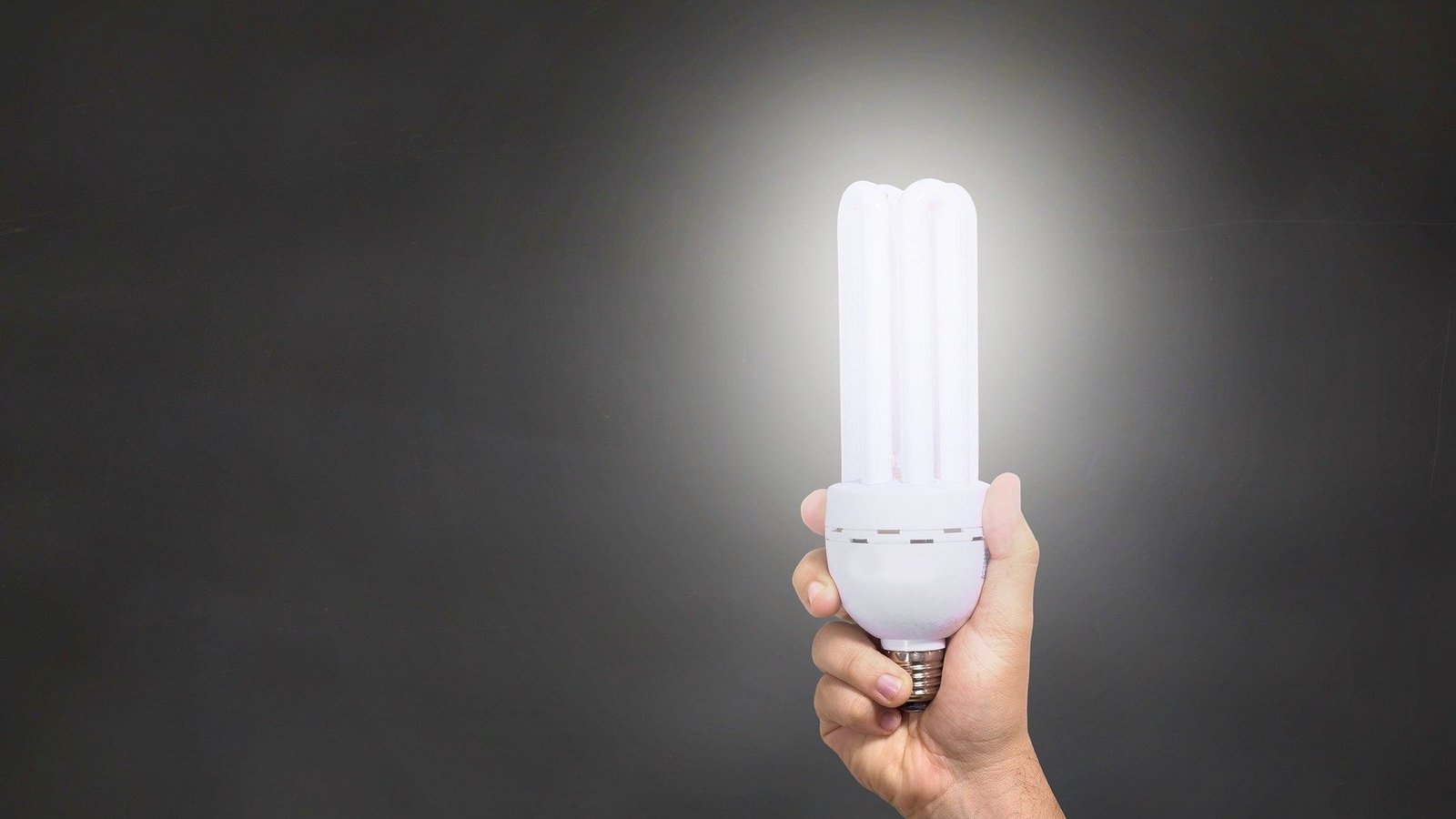 Ein Wechsel von Glühbirnen zu LEDs im gesamten Haushalt lohnt sich laut Energieberater schon nach kurzer Zeit. Foto: Reche/Pixabay