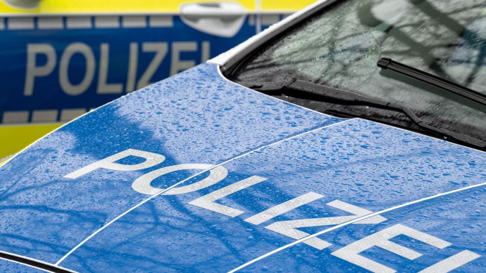 Die Polizei hat einen Verdächtigen vorläufig festgenommen (Symbolbild).Soeren Stache/dpa