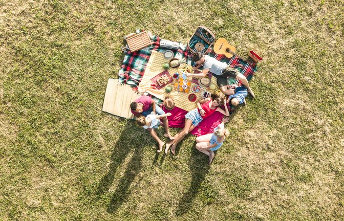 Im Sommer eine beliebte Aktivität zum Entspannten: Ein Picknick im Park.<span class='image-autor'>Foto: View Apart / shutterstock.com</span>
