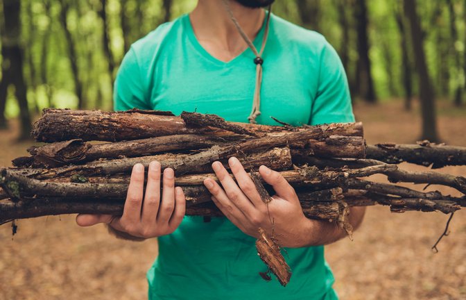 Achtung: Nicht einfach Holz im Wald mitnehmen!<span class='image-autor'>Foto: Roman Samborskyi / shutterstock.com</span>