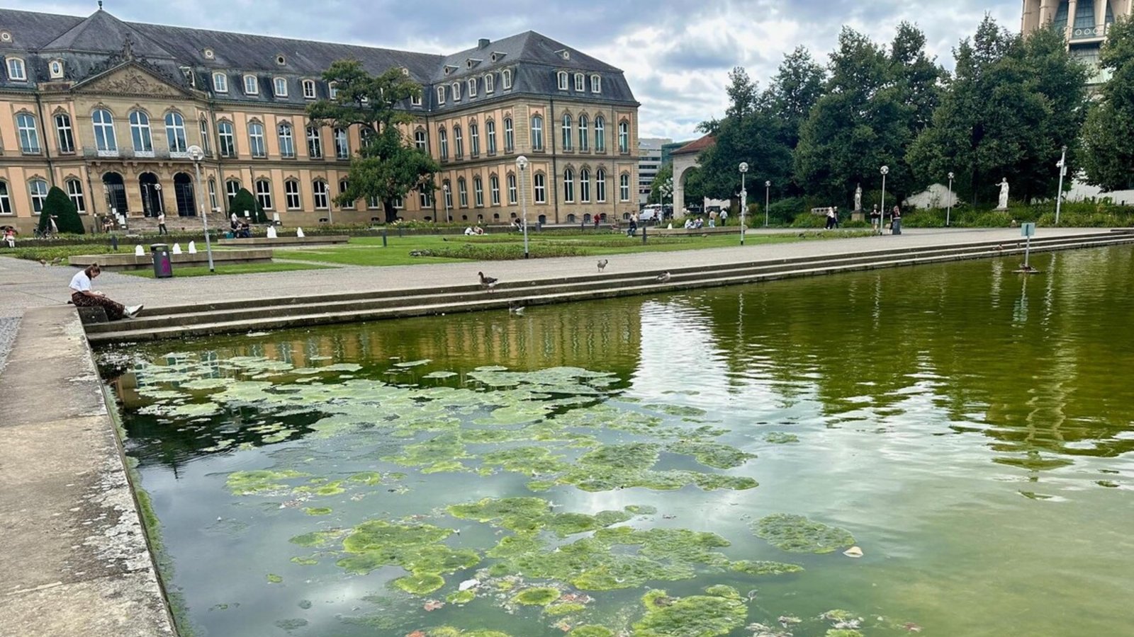 Eckensee mit Algen-EckeFoto: Jan Sellner