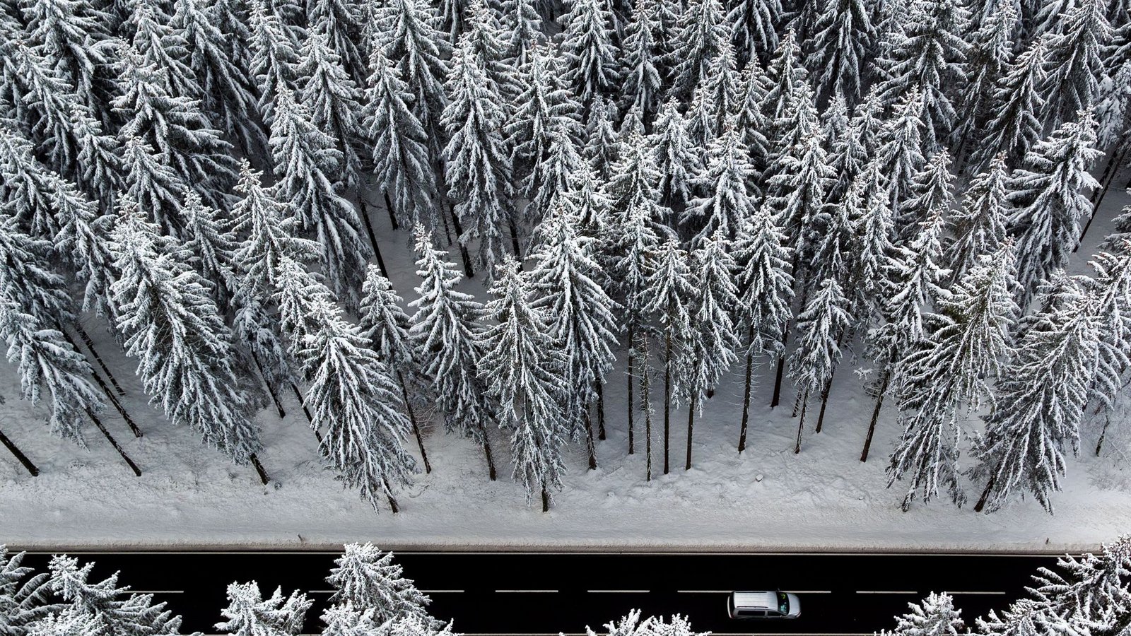 Wie wird der Winter 2022/2023? Eisig kalt oder  feuchtwarm? Wir wagen eine Prognose.Foto: dpa/Jan Woitas