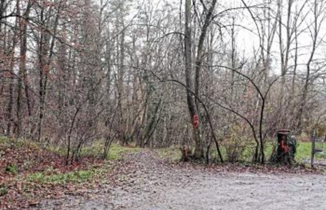 Auch am Parkplatz an der L1125 oberhalb der Kläranlage bei Großglattbach hatten Kriminaltechniker in der vergangenen Woche Spuren gesichert.  Foto: Küppers