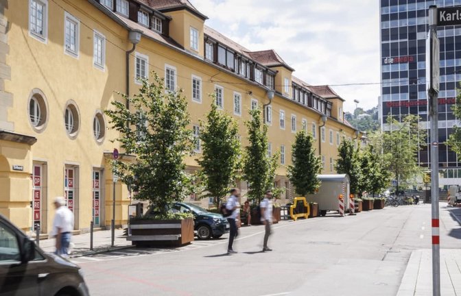 Die Stadt Stuttgart hat geplant, einen Teil dieser Kübel-Bäume innerhalb der Innenstadt umzuziehen.<span class='image-autor'>Lichtgut/Julian Rettig</span>