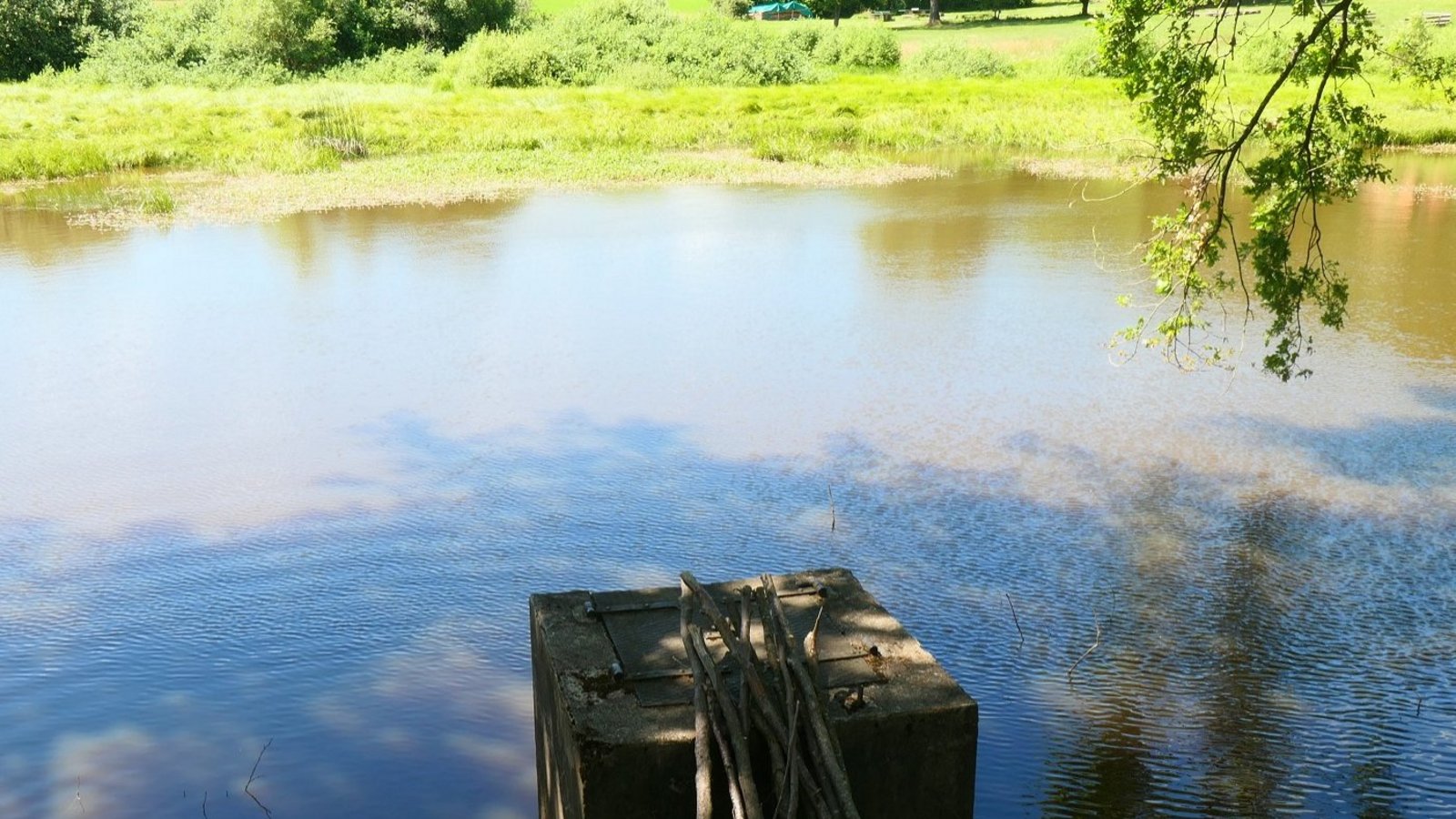 Das Wasser aus dem Teich wird über den Sommer abgelassen. Fotos: Regierungspräsidium Karlsruhe