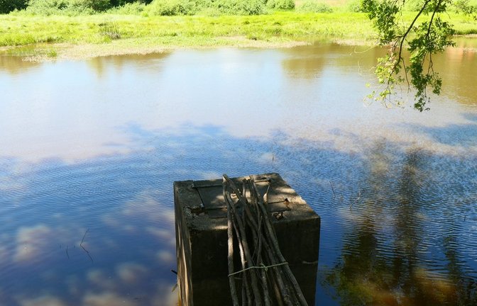 Das Wasser aus dem Teich wird über den Sommer abgelassen. Fotos: Regierungspräsidium Karlsruhe