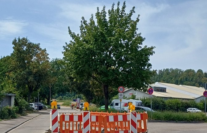 Die Baustelle zu Beginn der Walter-de-Pay-Straße in Vaihingen stürzt den einen oder anderen Autofahrer in Verwirrung.  <span class='image-autor'>Fotos: Rücker</span>
