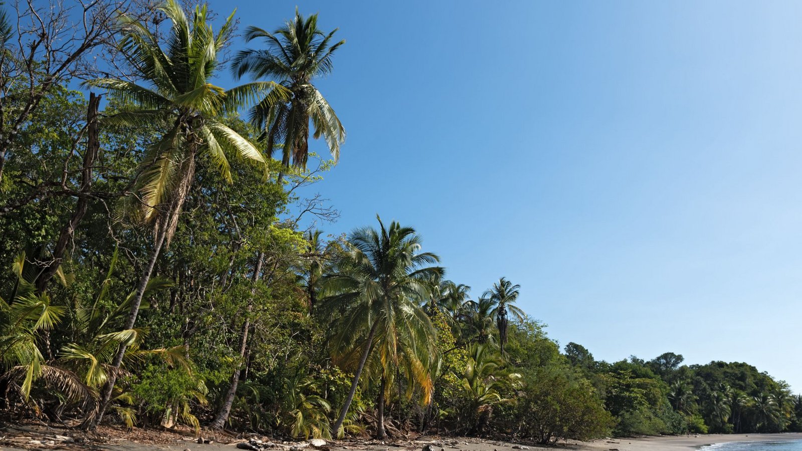 Die Serie „7 vs. Wild“ wird auf einer Insel in Panama gedreht (Symbolfoto).Foto: PantherMedia / Imago/Rainer Lesniewski Die Serie „7 vs. Wild“ wird auf einer Insel in Panama gedreht (Symbolfoto).Foto: PantherMedia / Imago/Rainer Lesniewski