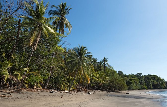 Die Serie „7 vs. Wild“ wird auf einer Insel in Panama gedreht (Symbolfoto).<span class='image-autor'>Foto: PantherMedia / Imago/Rainer Lesniewski</span>