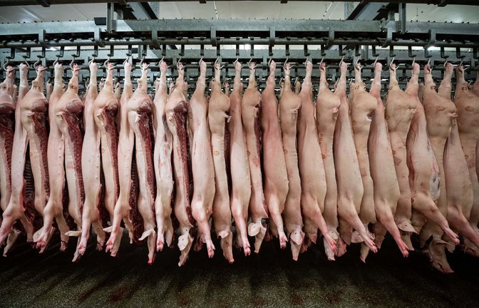 Halbierte Schweine hängen in einem Schlachthof.<span class='image-autor'>Foto: dpa/Mohssen Assanimoghaddam</span>