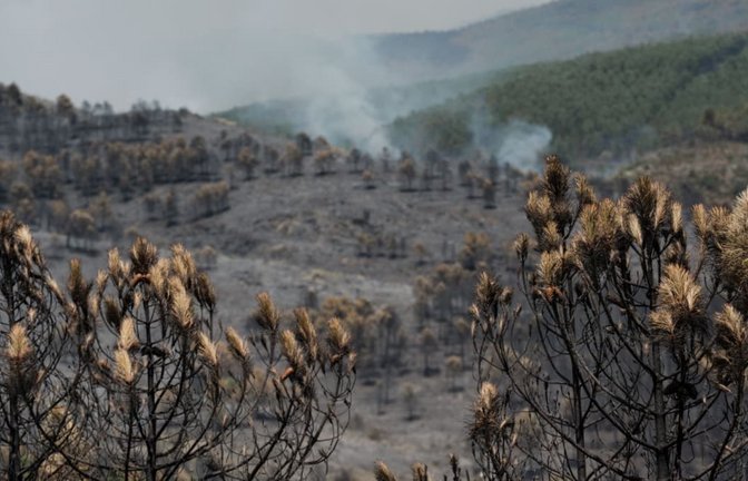 Nordöstlich der spanischen Hauptstadt Madrid sind nach Angaben der Behörden bei einem Waldbrand bereits rund 13.000 Hektar verbrannt.<span class='image-autor'>Mateo Lanzuela/EUROPA PRESS/dpa</span>