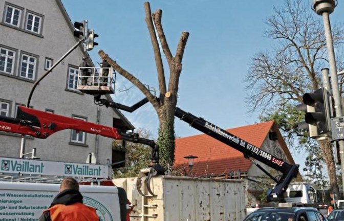 Die Straße Im Mühlkanal ist seit gestern von Vaihingen kommend in Richtung B10 ab der Auricher Straße/Enzgasse gesperrt – es muss eine große Esche gefällt werden. Heute Abend soll die Einfahrt laut Stadtverwaltung wieder möglich sein. Von der anderen Fahr