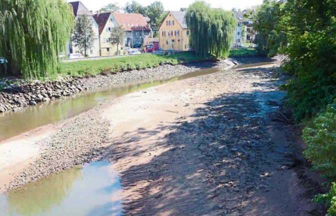 Die kommenden drei Wochen wird aufgrund von Reparaturarbeiten am Wehr bei der Vaihinger Mühle der Wasserstand der Enz niedrig gehalten. Am Wochenende darf wieder mehr Wasser fließen, um mit den Stocherkähnen fahren zu können, sagt Johannes Dietz, Pressesprecher der Stadt. Dann können auch die Fische wieder aufatmen.  Foto: Rücker