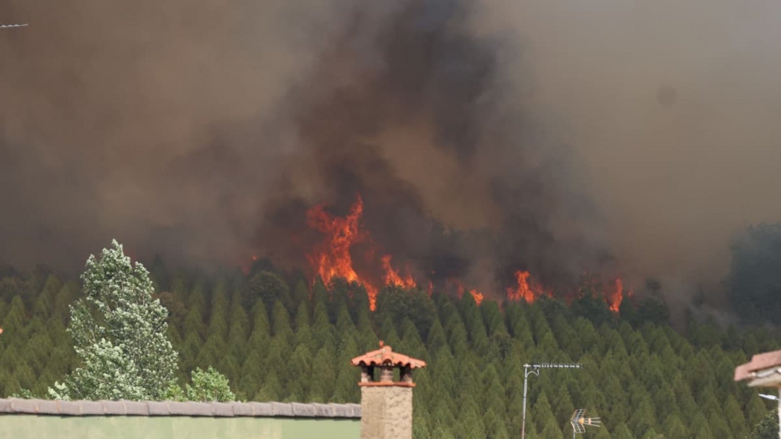 Ein Waldbrand breitet sich in San Cipriano aus.Fernando Otero/EUROPA PRESS/dpa Ein Waldbrand breitet sich in San Cipriano aus.Fernando Otero/EUROPA PRESS/dpa
