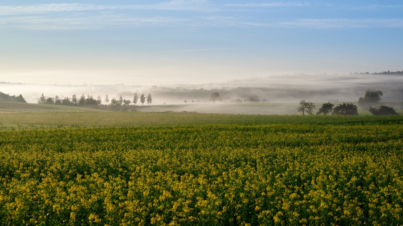 „Muss man da noch in den Urlaub fahren?“, fragt Werner Frey aus Ensingen angesichts dieses morgendlichen Panoramas zwischen Horrheim und Sersheim. „Muss man da noch in den Urlaub fahren?“, fragt Werner Frey aus Ensingen angesichts dieses morgendlichen Panoramas zwischen Horrheim und Sersheim.