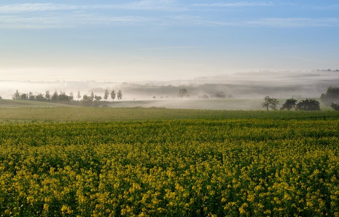 „Muss man da noch in den Urlaub fahren?“, fragt Werner Frey aus Ensingen angesichts dieses morgendlichen Panoramas zwischen Horrheim und Sersheim.