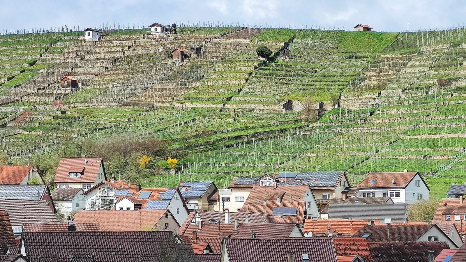 Diesen vorösterlichen Anblick hat Marko Gayer in Roßwag festgehalten.