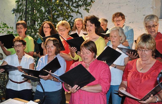 Vielseitiger Gesang: Der Kirchenchor begeistert seine Zuhörer in Illingen. Fotos: Stahlfeld